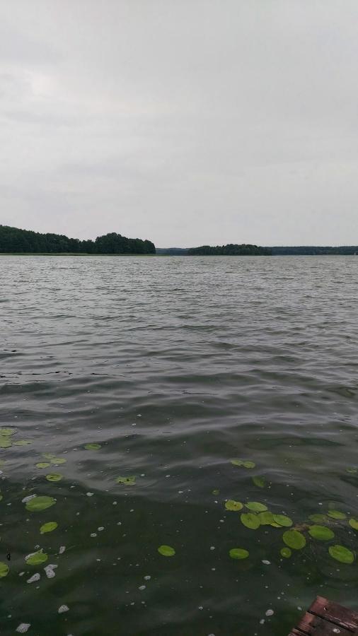 SORKWITY- Pensjonat - STARY GIELĄD Eksteriør bilde